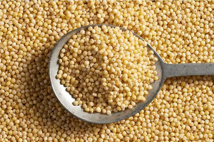MILLET