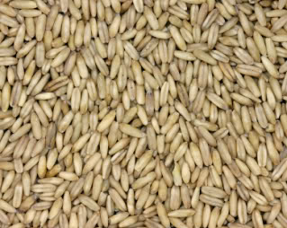 OATS