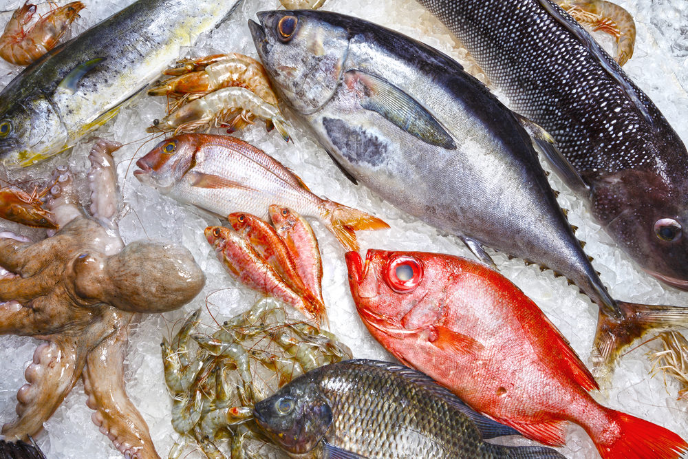 Pește și fructe de mare, congelate