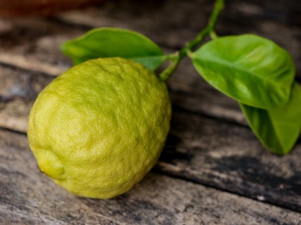 CITRUS<br /><span>Bergamot</span>