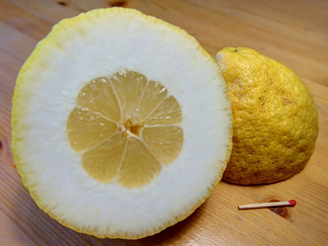 CITRUS<br /><span>Chitru</span>