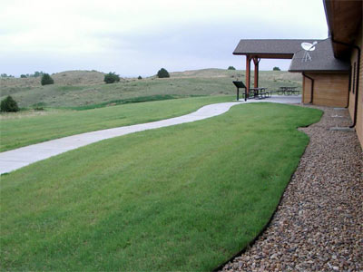 BOUTELOUA<br /><span>Buffalo Grass</span>