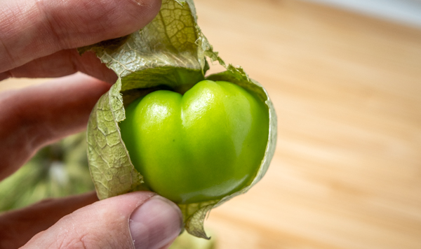 PHYSALIS<br /><span>Cireșe De Pământ</span>