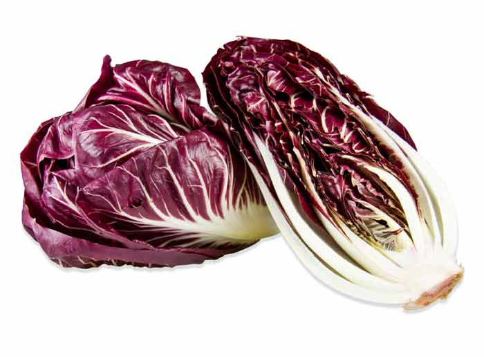 CICHORIUM<br /><span>Cicoare Cu Frunză Lată Sau Cicoare Italiană</span>