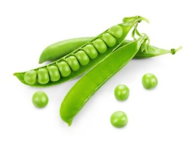 PISUM<br /><span>Mazăre Cu Bob Zbârcit</span>