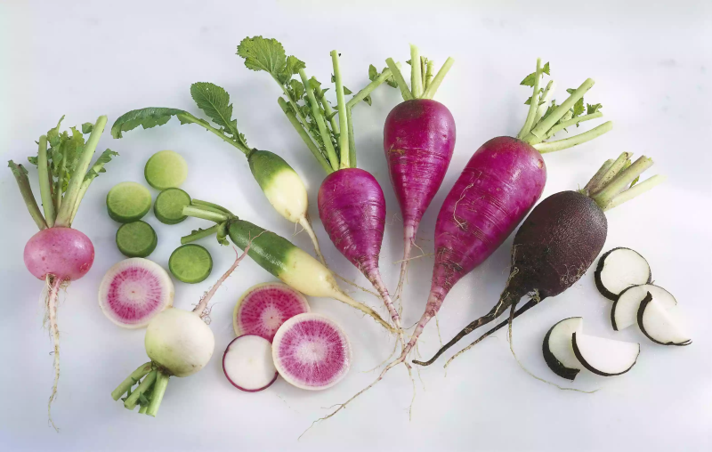 RAPHANUS<br /><span>Radish</span>