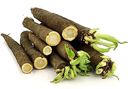 Scorzonera / Black salsify