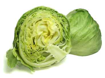 LACTUCA<br /><span>Salată Crocantă/Iceberg</span>