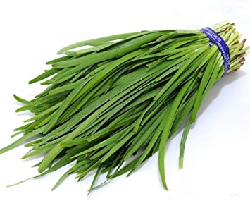 ALLIUM<br /><span>Usturoi De Frunze</span>