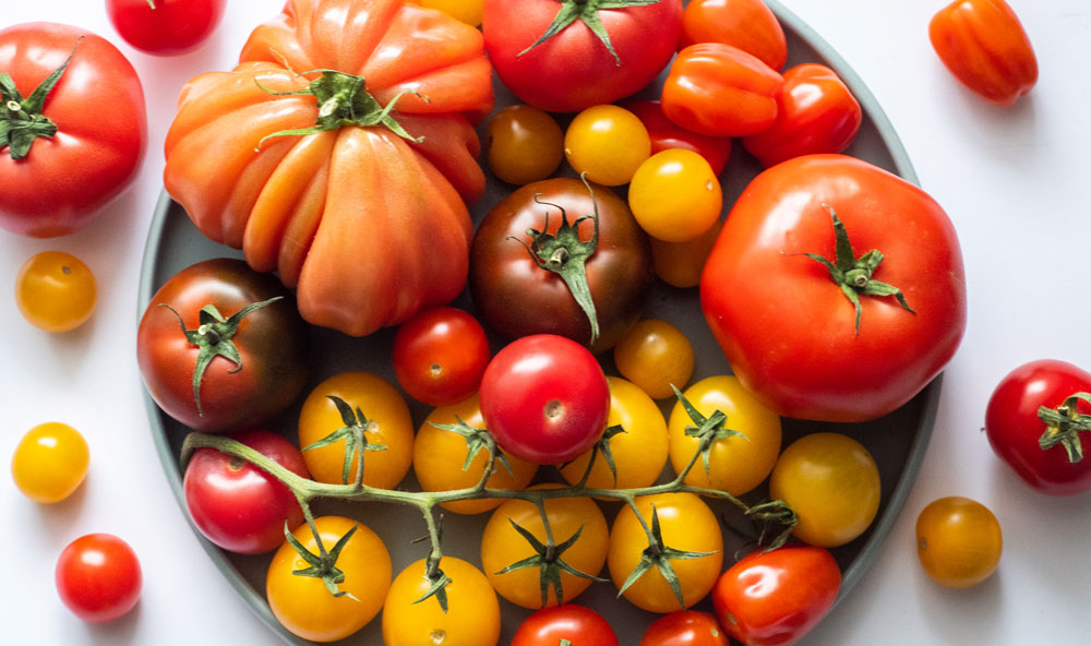 CAPSICUM, LYCOPERSICON, SOLANUM<br /><span>Tomate</span>