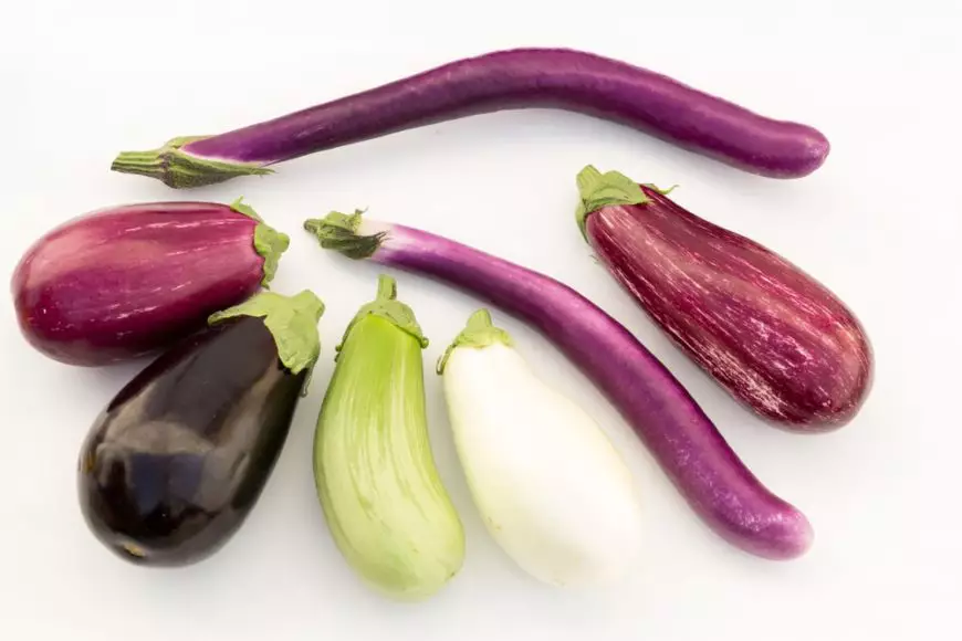 SOLANUM<br /><span>Pătlăgele Vinete</span>