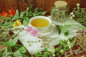 Plante medicinale