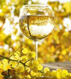 Sauvignon Blanc