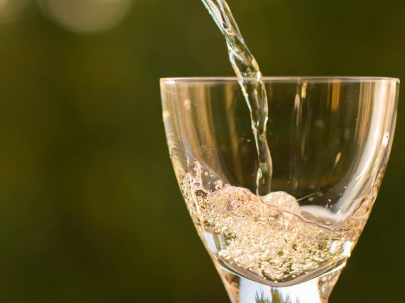Pinot Gris
