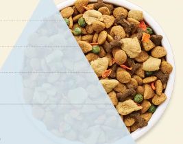 Proteine + Vitamine + Minerale