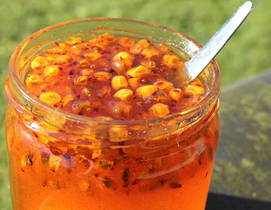 Macerates