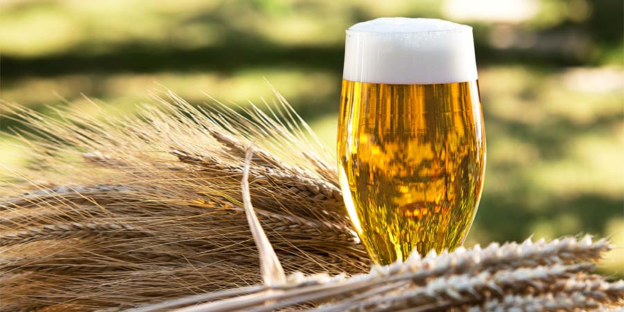 Malt beer