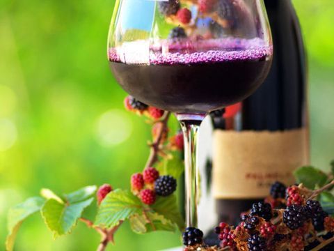 Fruit and berry wines