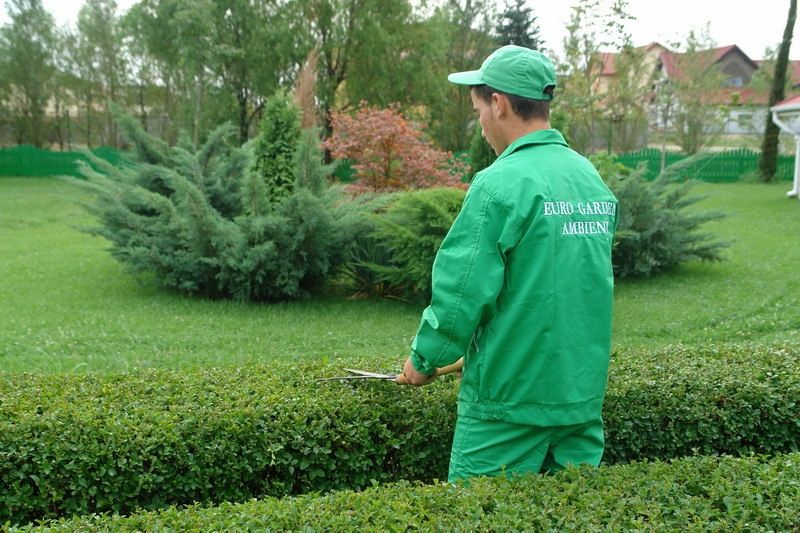 Servicii în domeniul cultivării plantelor