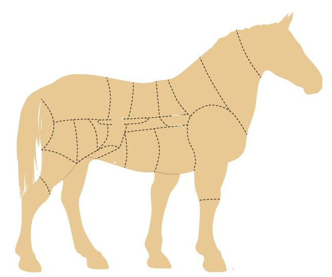 Carne de cal