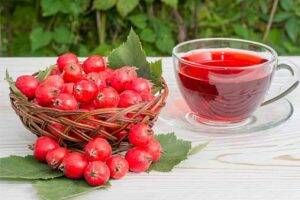Ceai de păducel, fructe