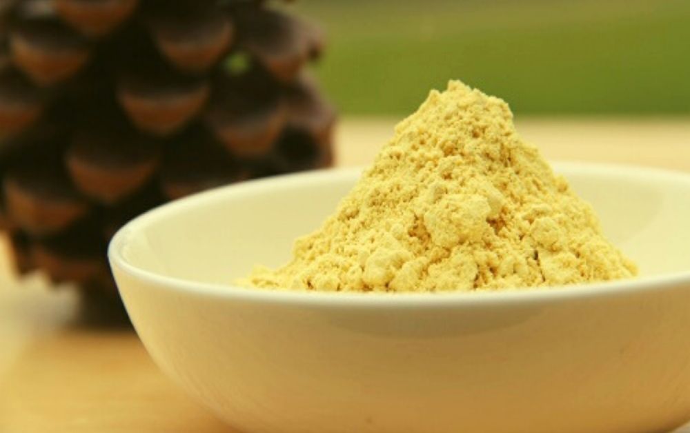 Pine pollen