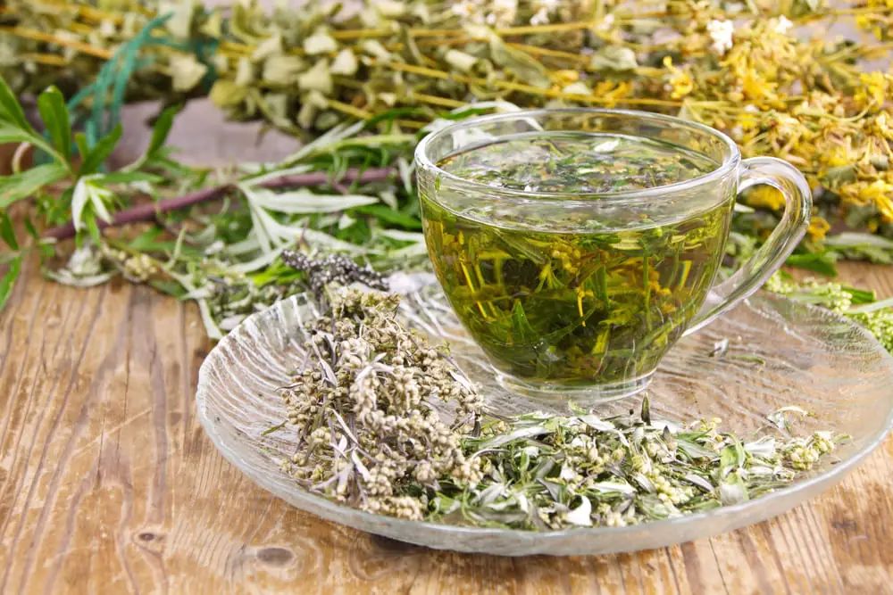 'SWEDISH BITTER' TEA
