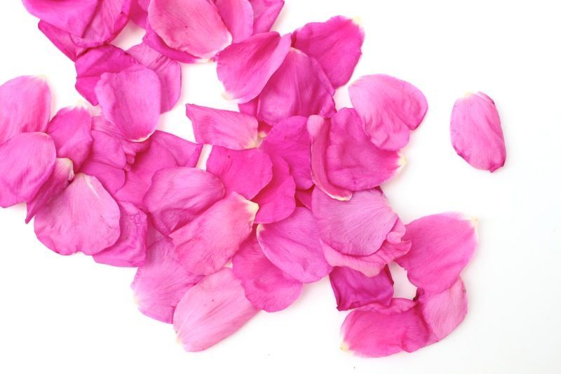 Rose petals