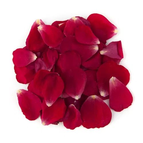 Rose petals, fresh