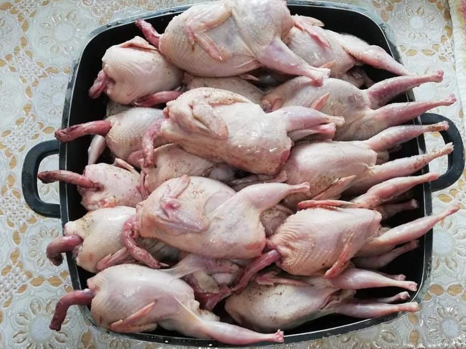 Carne de prepeliță, carcasă