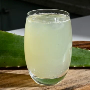Aloe vera juice/gel