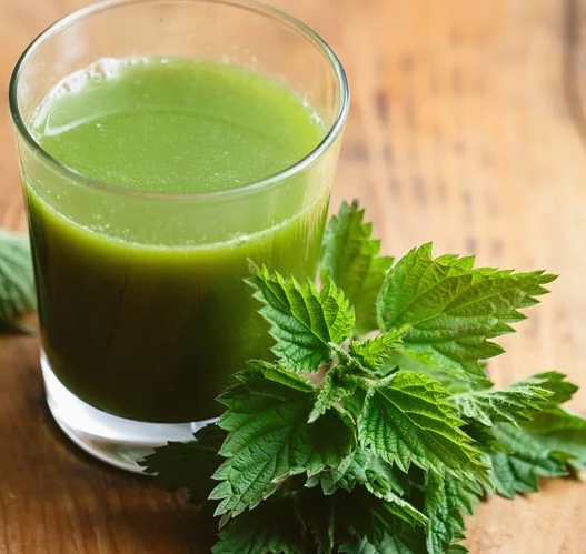 Nettle juice
