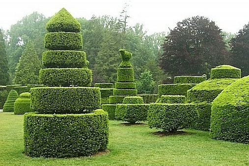 TOPIARY
